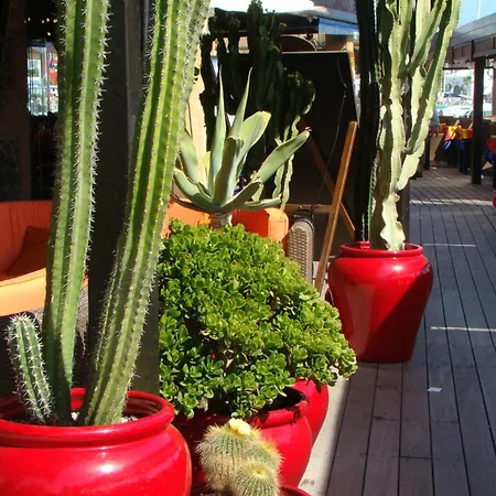 Tatil Evi Nala Meer- Bergblick, Solarbeheizter Pool, Ruhige Lage, Alles Zu Fuss Erreichbar *