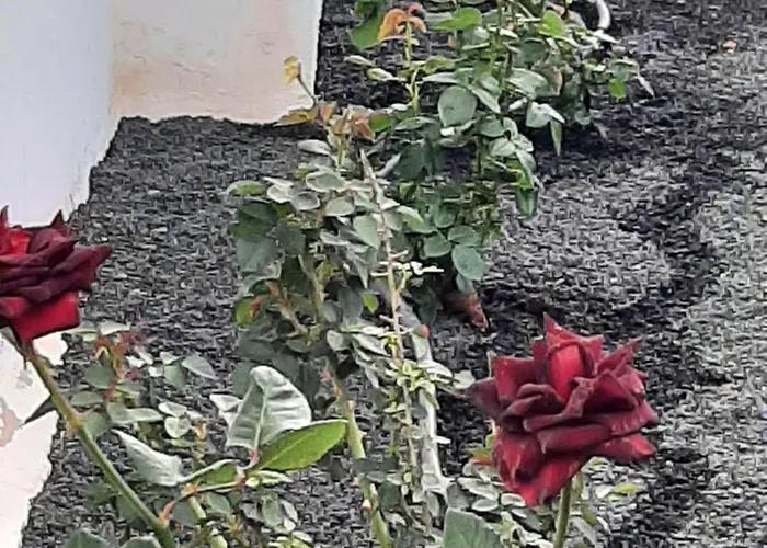 Holiday home Nala Meer- Bergblick, Solarbeheizter Pool, Ruhige Lage, Alles Zu Fuss Erreichbar *