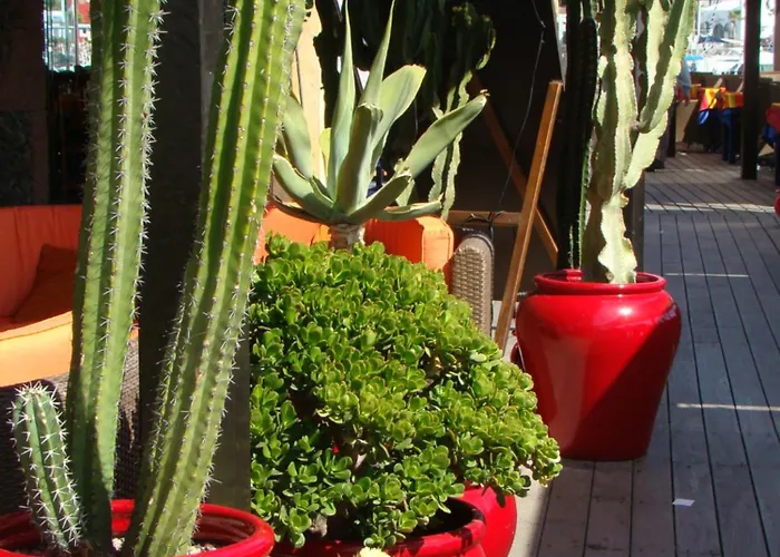 Semesterbostad Nala Meer- Bergblick, Solarbeheizter Pool, Ruhige Lage, Alles Zu Fuss Erreichbar *