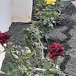 בית נופש Nala Meer- Bergblick, Solarbeheizter Pool, Ruhige Lage, Alles Zu Fuss Erreichbar *